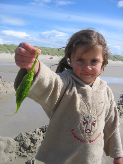 img0071.jpg