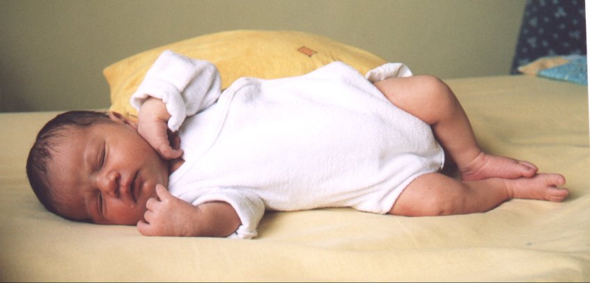 isabel004.jpg