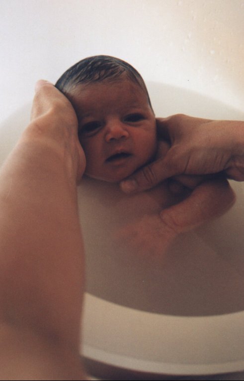 isabel006.jpg